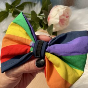 Pride Large Bow Tie