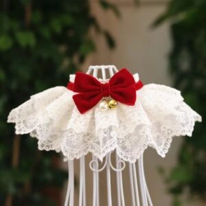 Delicate Tulle Lace Collar