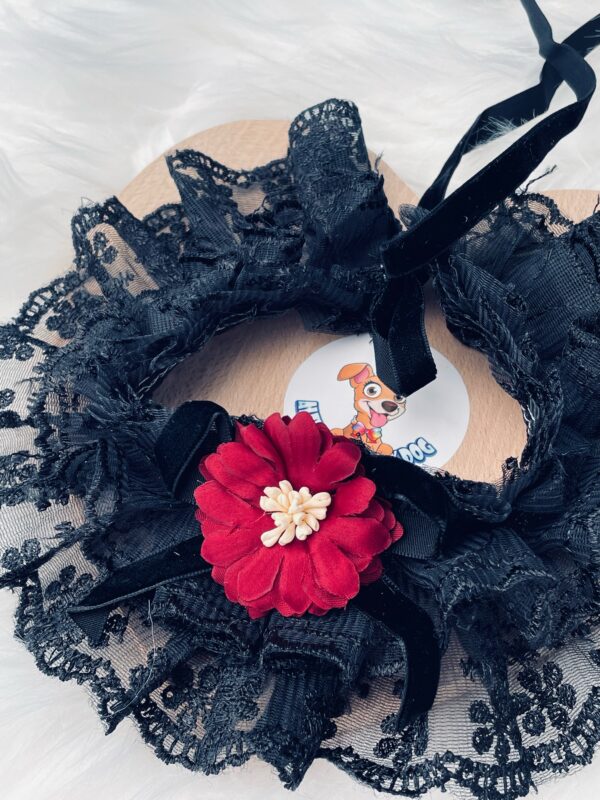 Flower Lace Collar