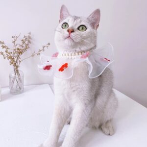 Tulle Collar With Pearls