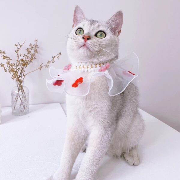 Tulle Collar With Pearls